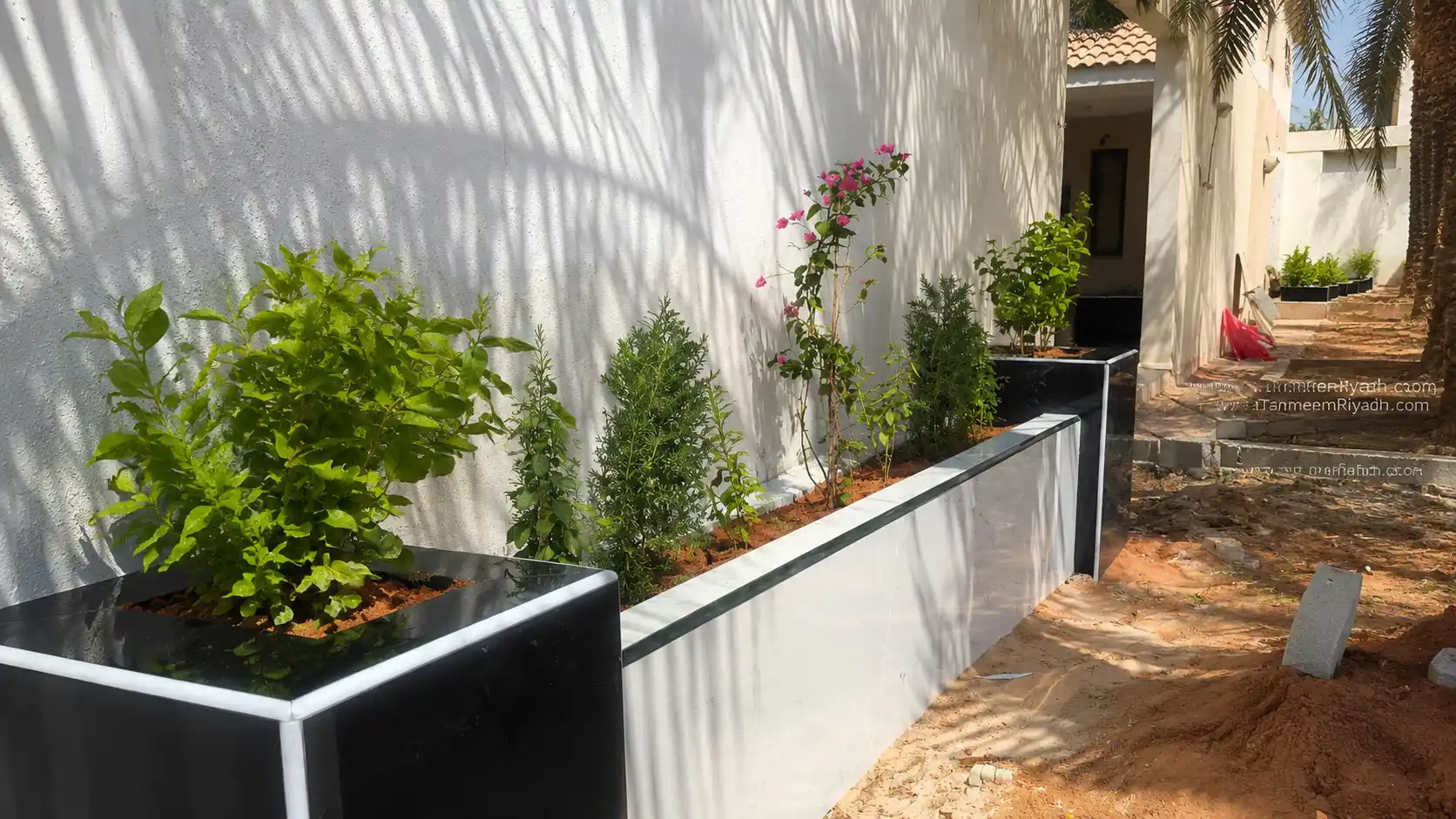 خدمة مشاتل بالرياض لبيع النباتات والزهور في الرياض - شركة تصميم الرياض